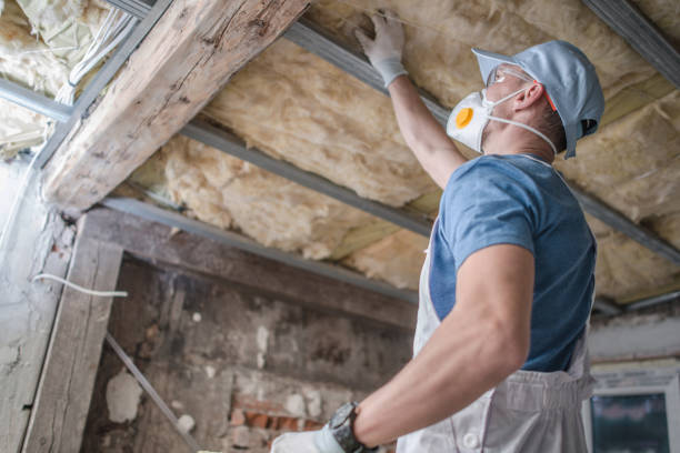 Best Cellulose Insulation in Scottdale, GA