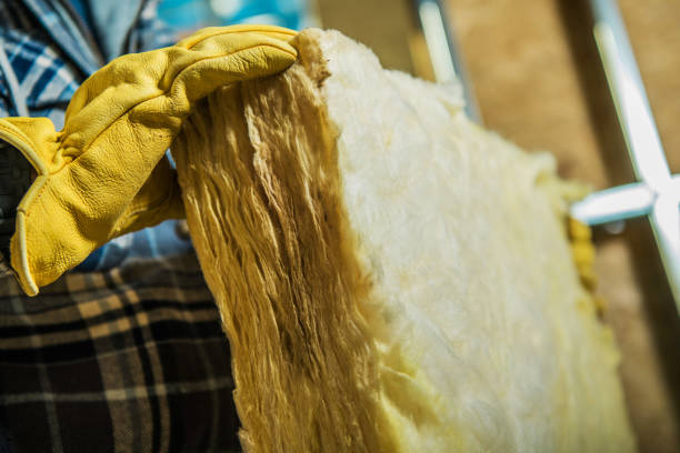 Best DIY Insulation Kits and Guidance in Scottdale, GA